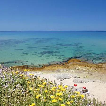 Bilo Монте-Най